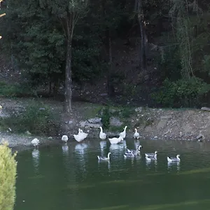 Hotel Tenuta La Bandita, Sassetta